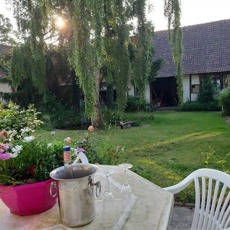 Le Domaine Des Anges Wavrans-sur-l'Aa Exterior photo