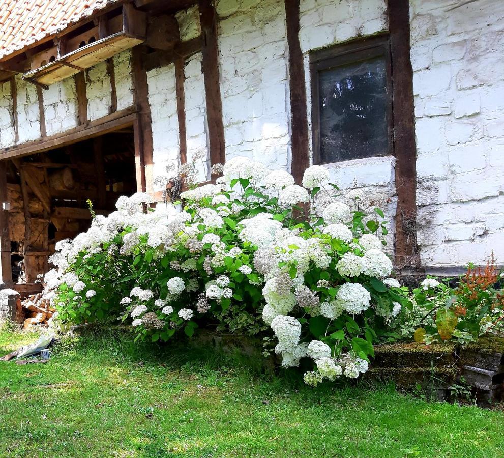 Le Domaine Des Anges Wavrans-sur-l'Aa Exterior photo