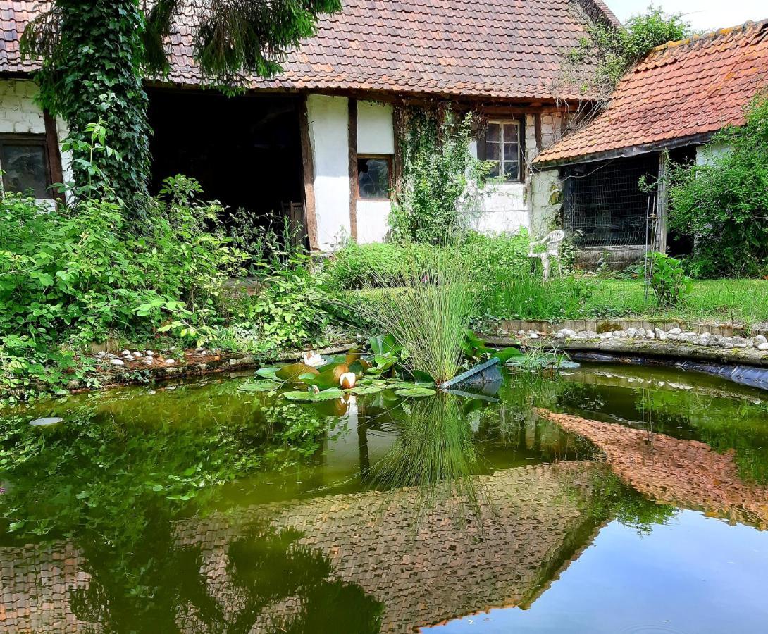 Le Domaine Des Anges Wavrans-sur-l'Aa Exterior photo