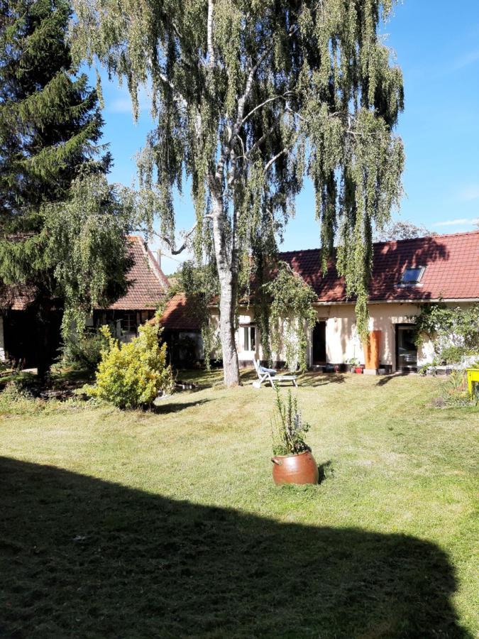 Le Domaine Des Anges Wavrans-sur-l'Aa Exterior photo